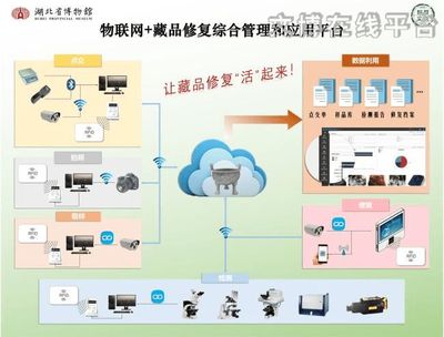 第七屆全國十佳文博技術(shù)產(chǎn)品及服務(wù)推介活動網(wǎng)絡(luò)投票正式啟動，網(wǎng)絡(luò)技術(shù)服務(wù)成焦點